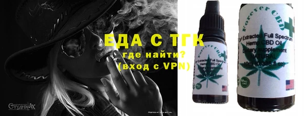 гидра Снежногорск